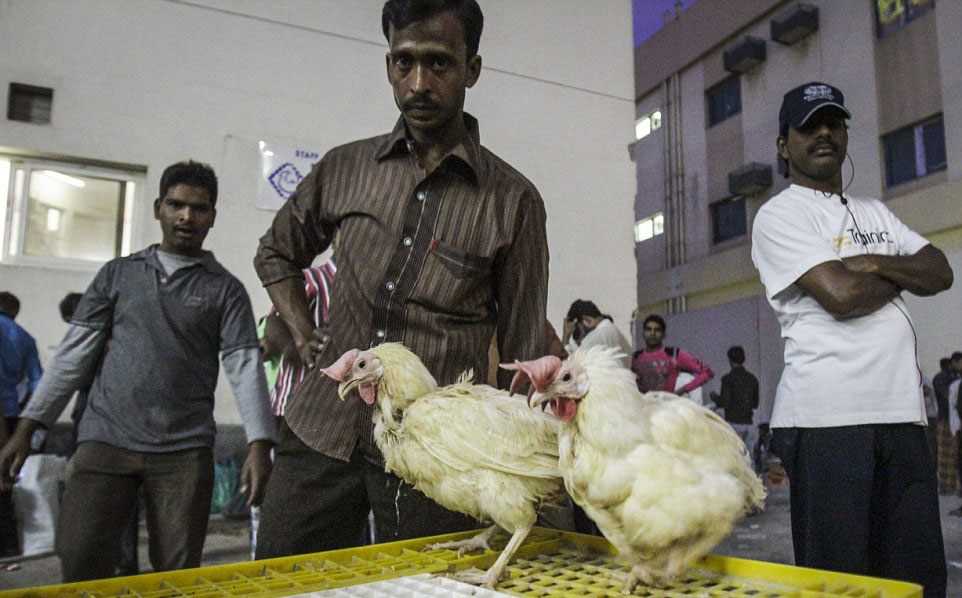 Photos The Dark Side Of Dubai Slave Labor Long Hours Desperate