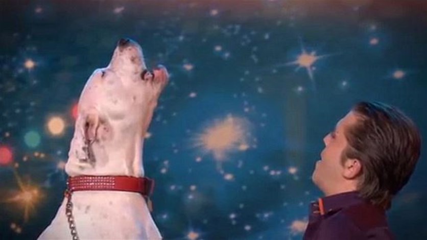 [VIDEO] Dog Sings Whitney Houstons I Will Always Love You On TV Show