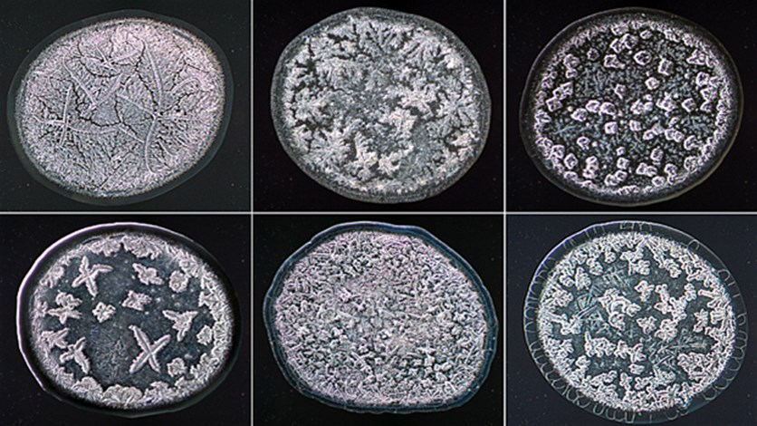 Different Types Of Tears Under Microscope