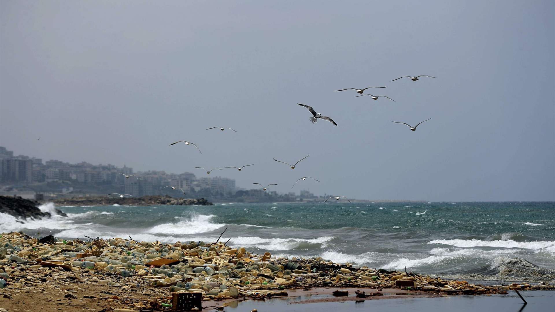 In Lebanon, environmental threats remain at the forefront despite political crises: report  
