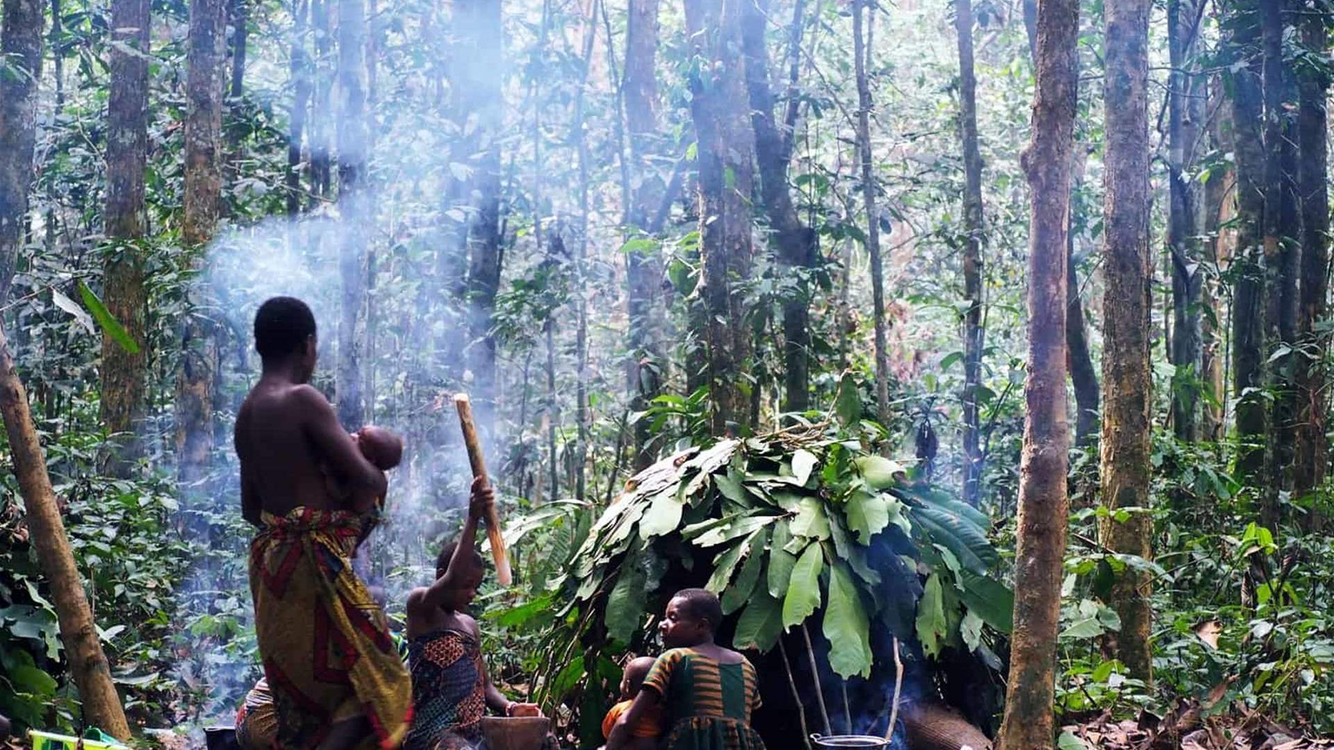 Forest Plundering Threatens Aka Pygmies Of Central Africa Lebanon News