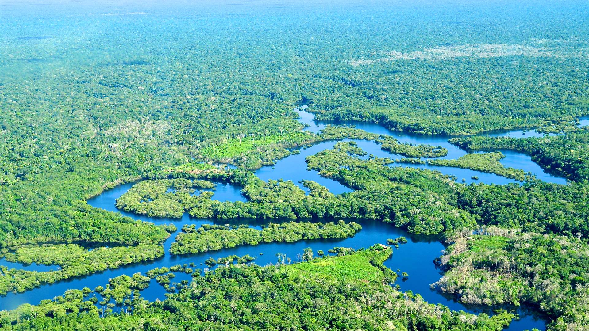 Palavras ousadas, caminhe devagar enquanto o Lula do Brasil se propõe a salvar a Amazônia