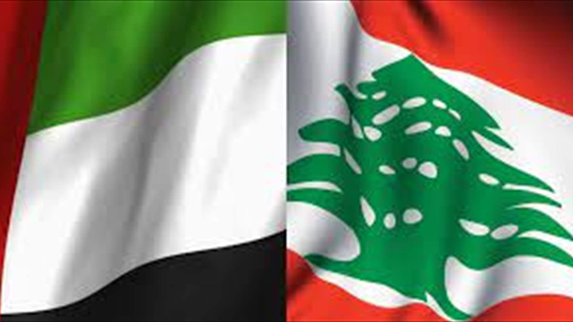 Lebanese Foreign Ministry Officially Notified of UAE Lifting Visa Ban for Lebanese Citizens