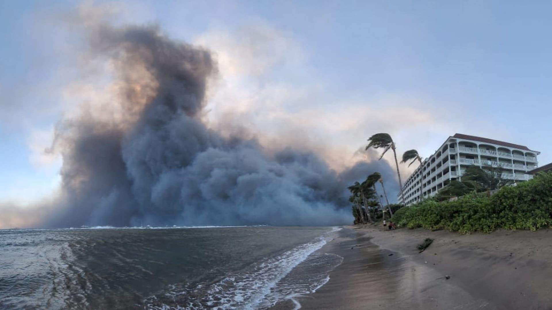 Hawaii wildfires death toll hits 53