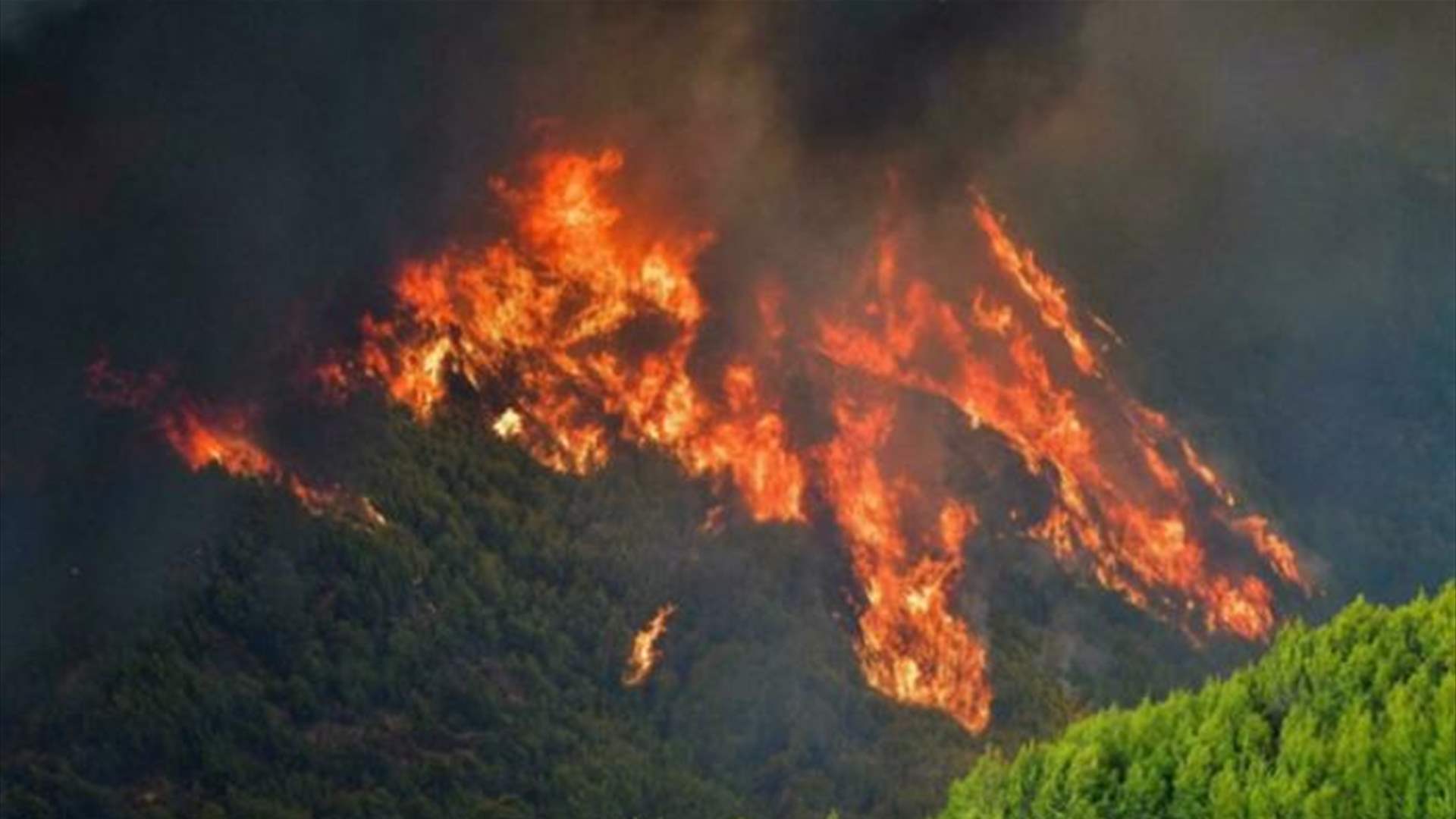 حرائق الغابات تستعر لليوم الثالث على التوالي في اليونان