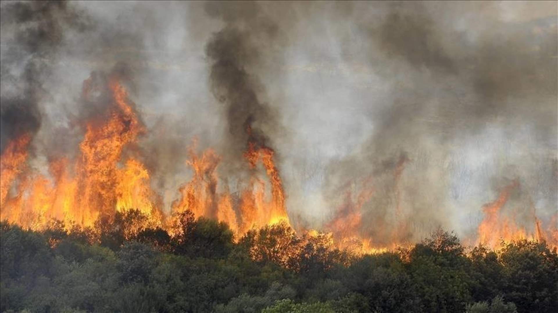 Fires rage again in forests of eastern Algeria