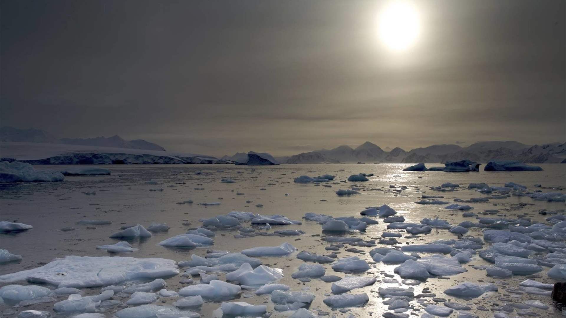 علماء يحذّرون من ذوبان متسارع &quot;حتمي&quot; للغطاء الجليدي في غرب أنتركتيكا 