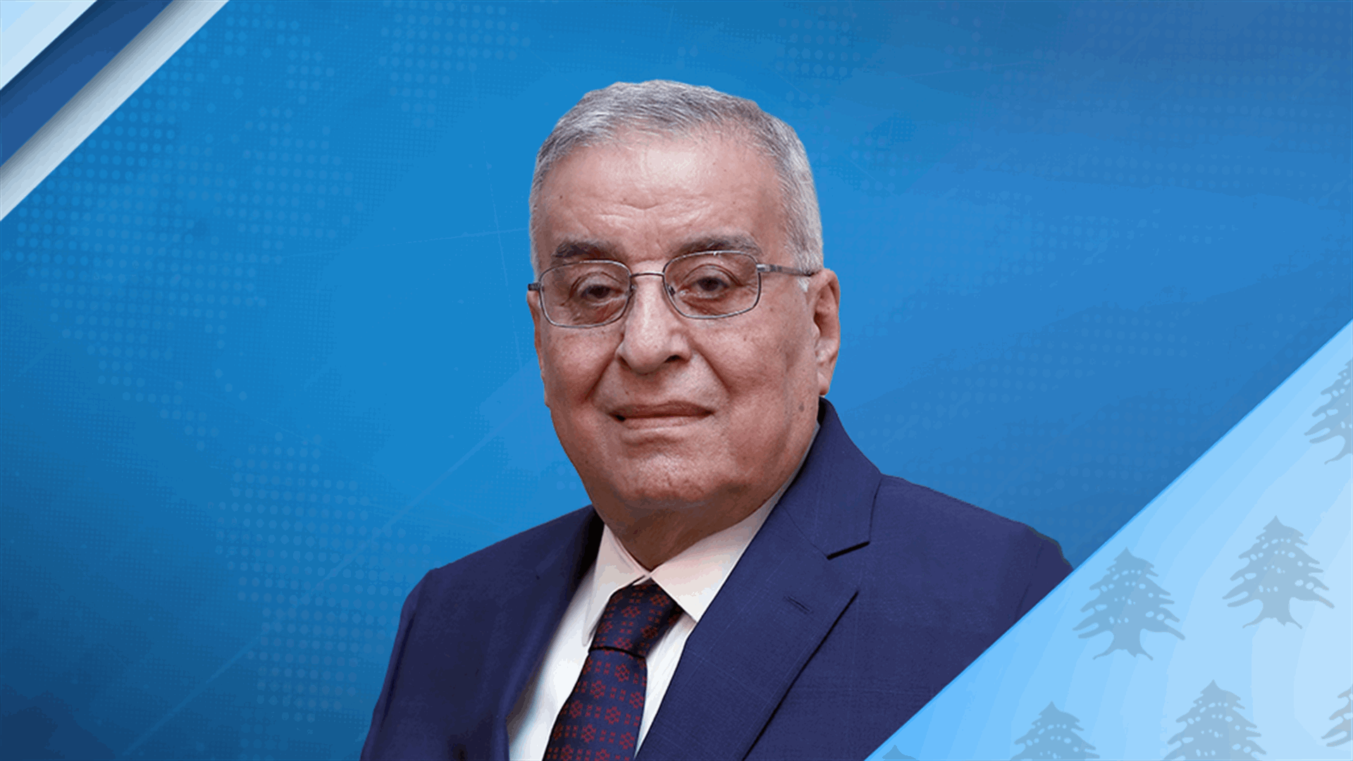Bou Habib: Israel must cease threatening Lebanon with attacks