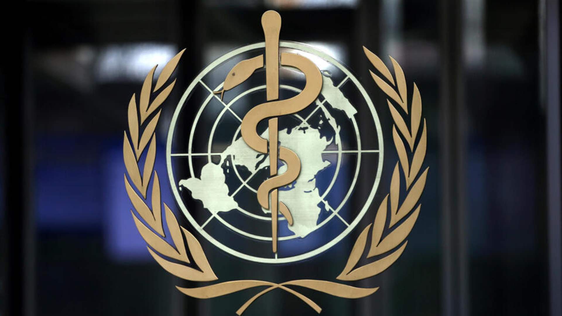 منذ السادس من أيار... منظمة الصحة العالمية لم تتلق أي إمدادات طبية في غزة 