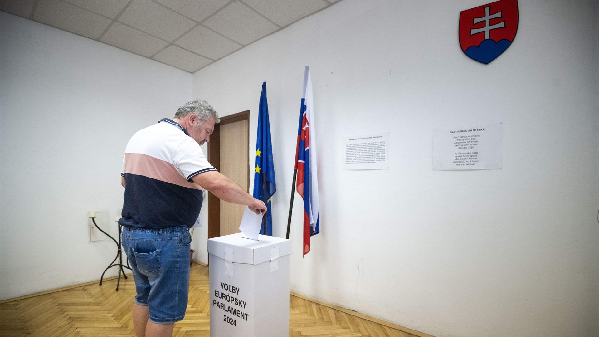 Liberals defeat Slovak PM party in European elections