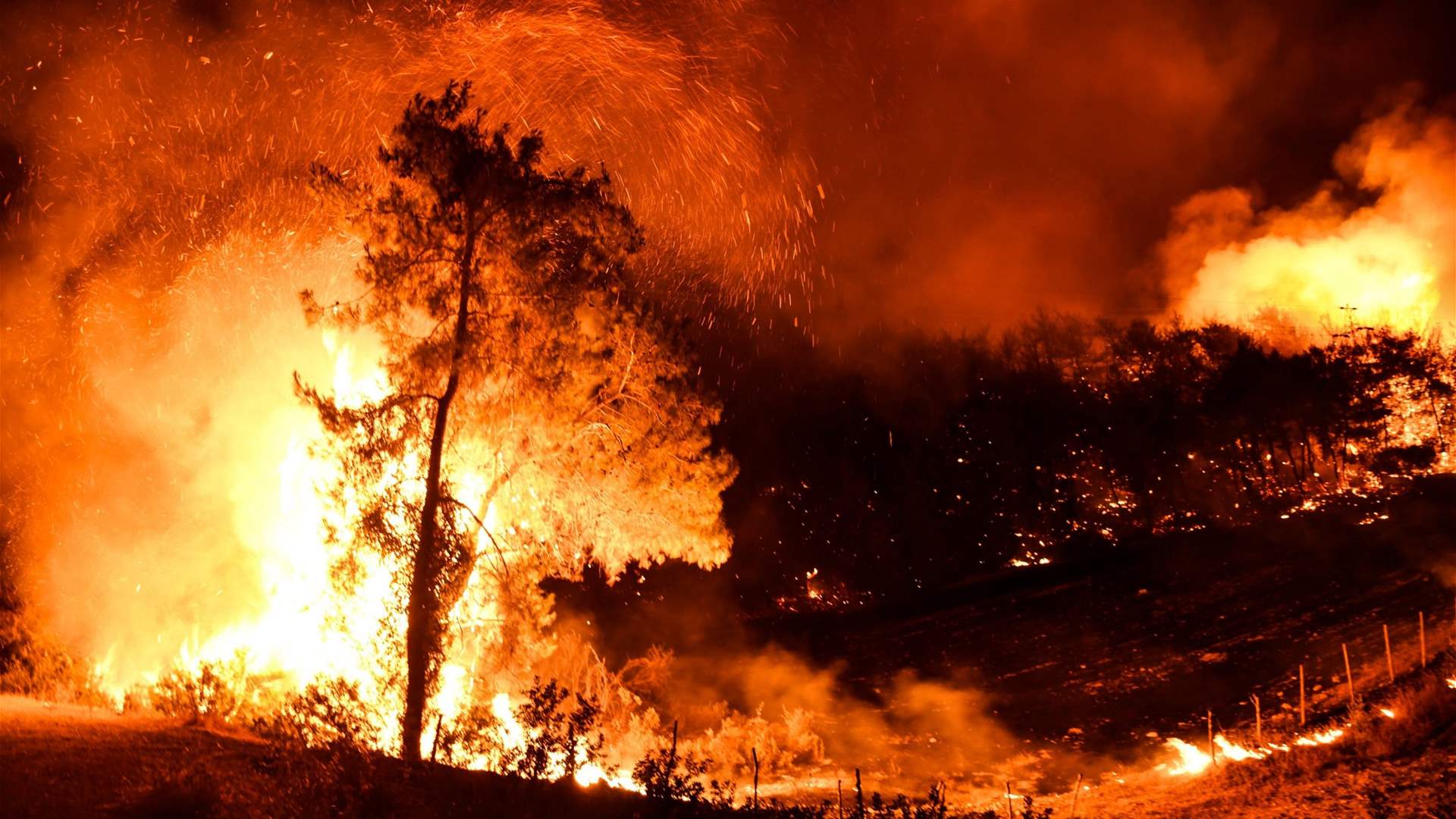 Five dead, dozens hurt in wildfires in southeastern Turkey