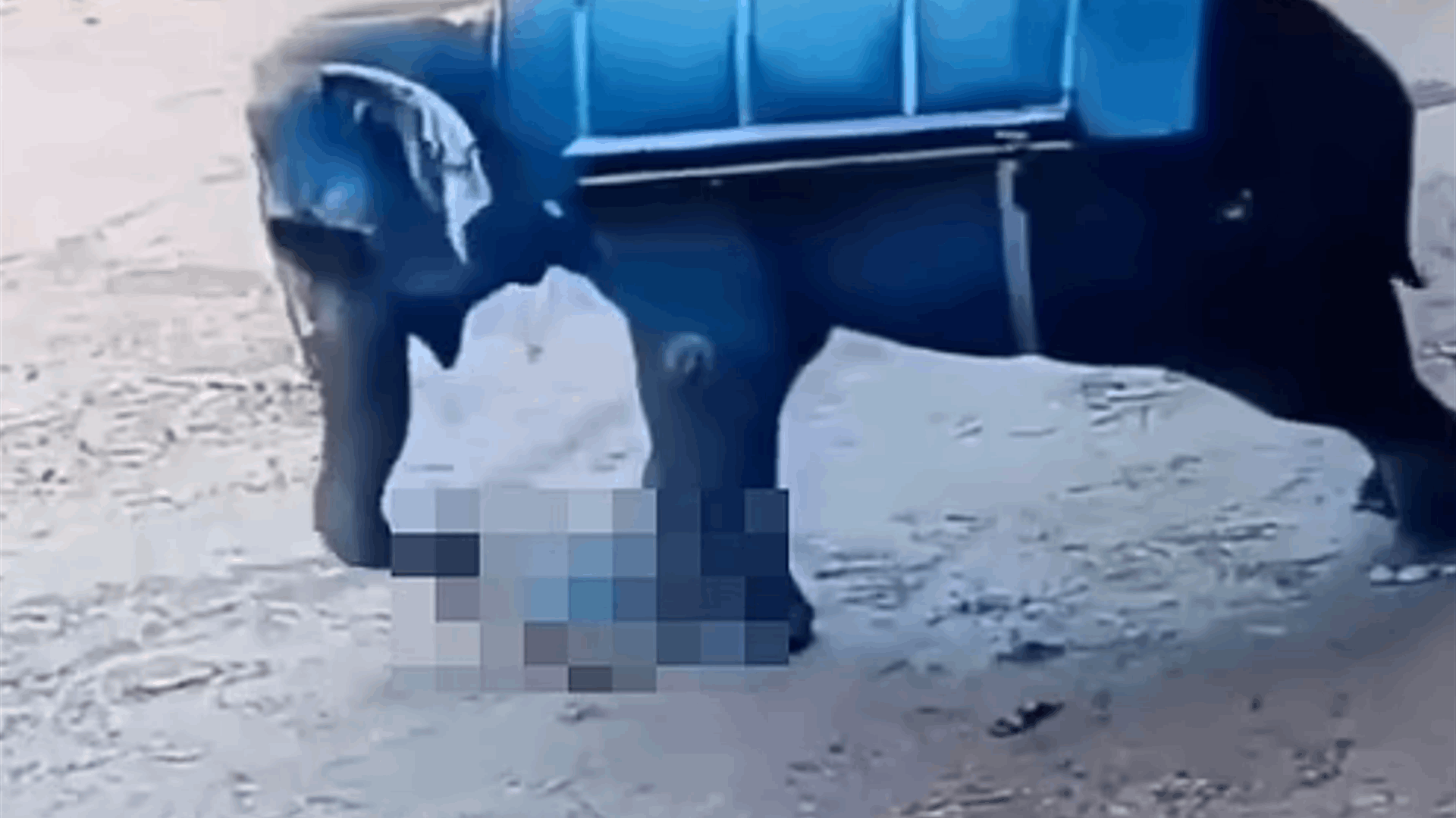 في مشهد صادم... فيل يسحق مدربه حتى الموت بعد أن ضربه بعصا الخيزران! (فيديو)