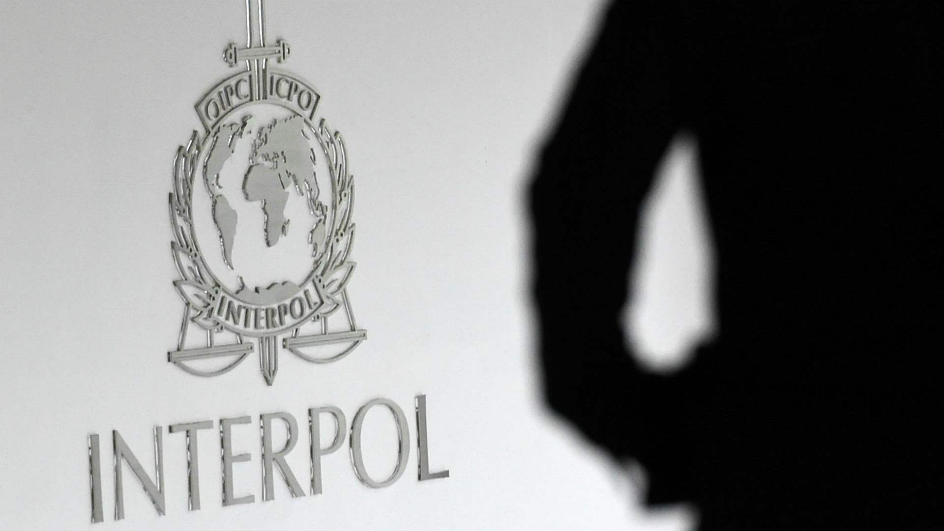Interpol reports arresting 219 individuals in 39 countries on charges of human trafficking
