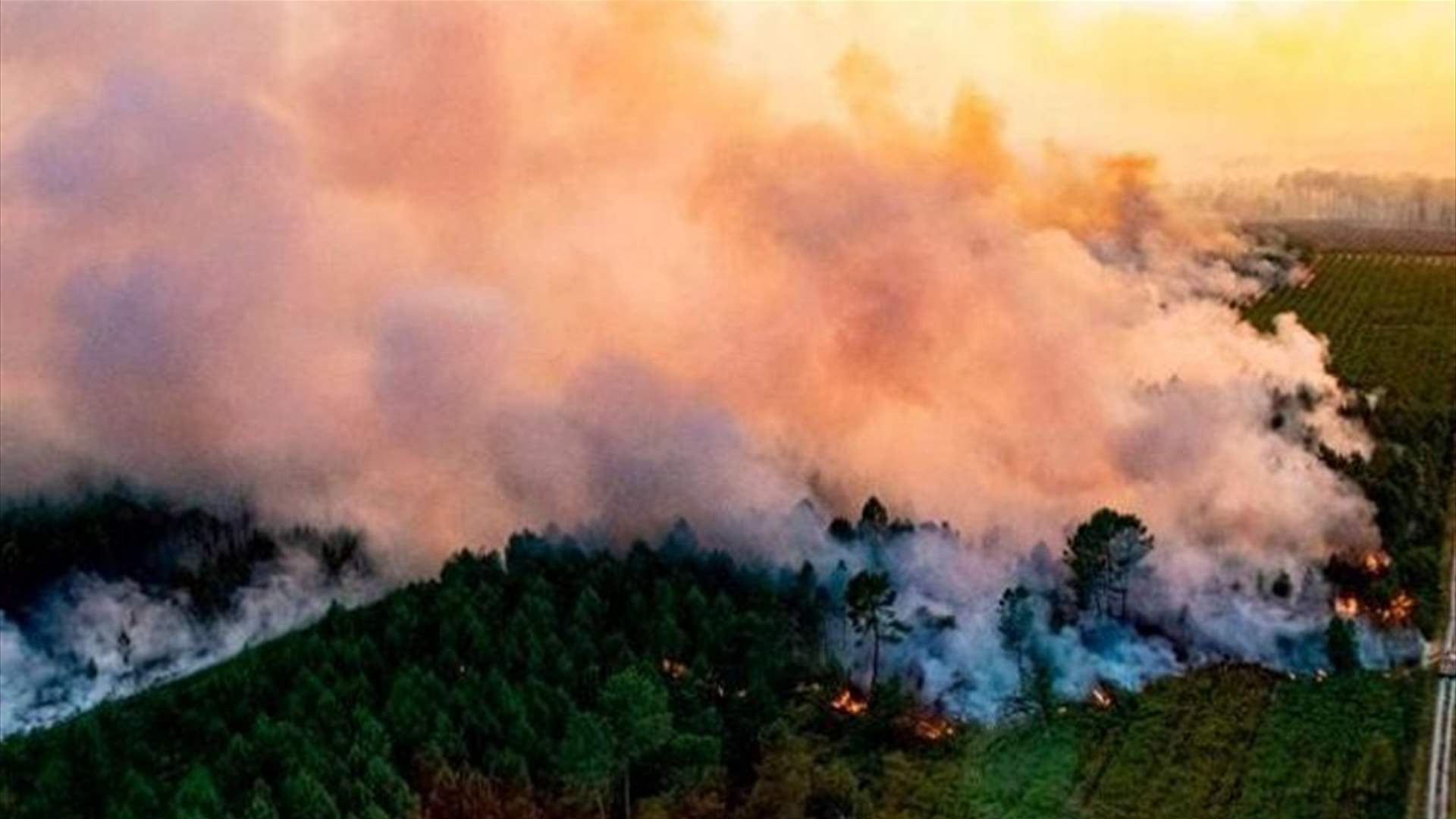 حرائق الغابات القصوى تضاعفت منذ 20 عاما في العالم