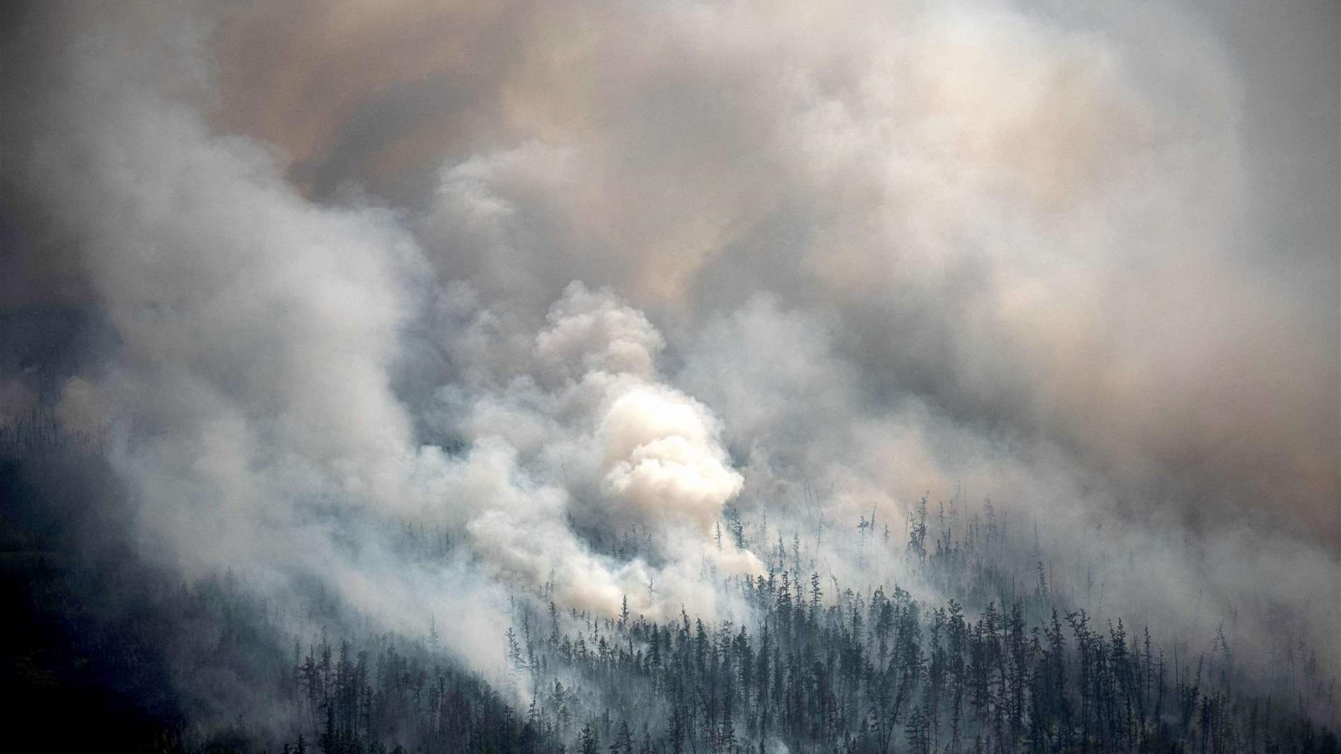 Russia declares emergency state in two regions due to forest fires