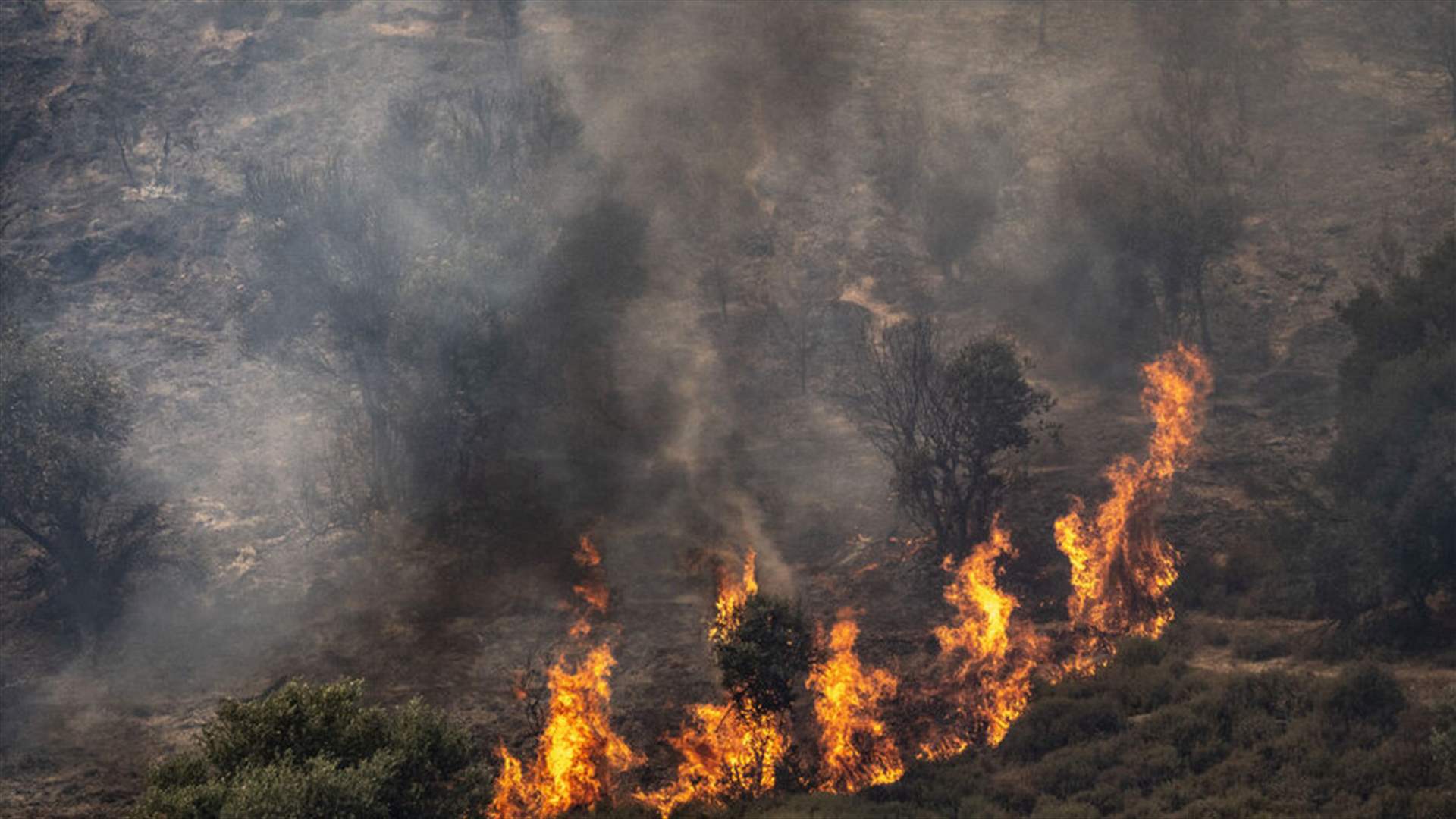 وزارة البيئة حذّرت من ارتفاع خطر الحرائق في الأيام المقبلة