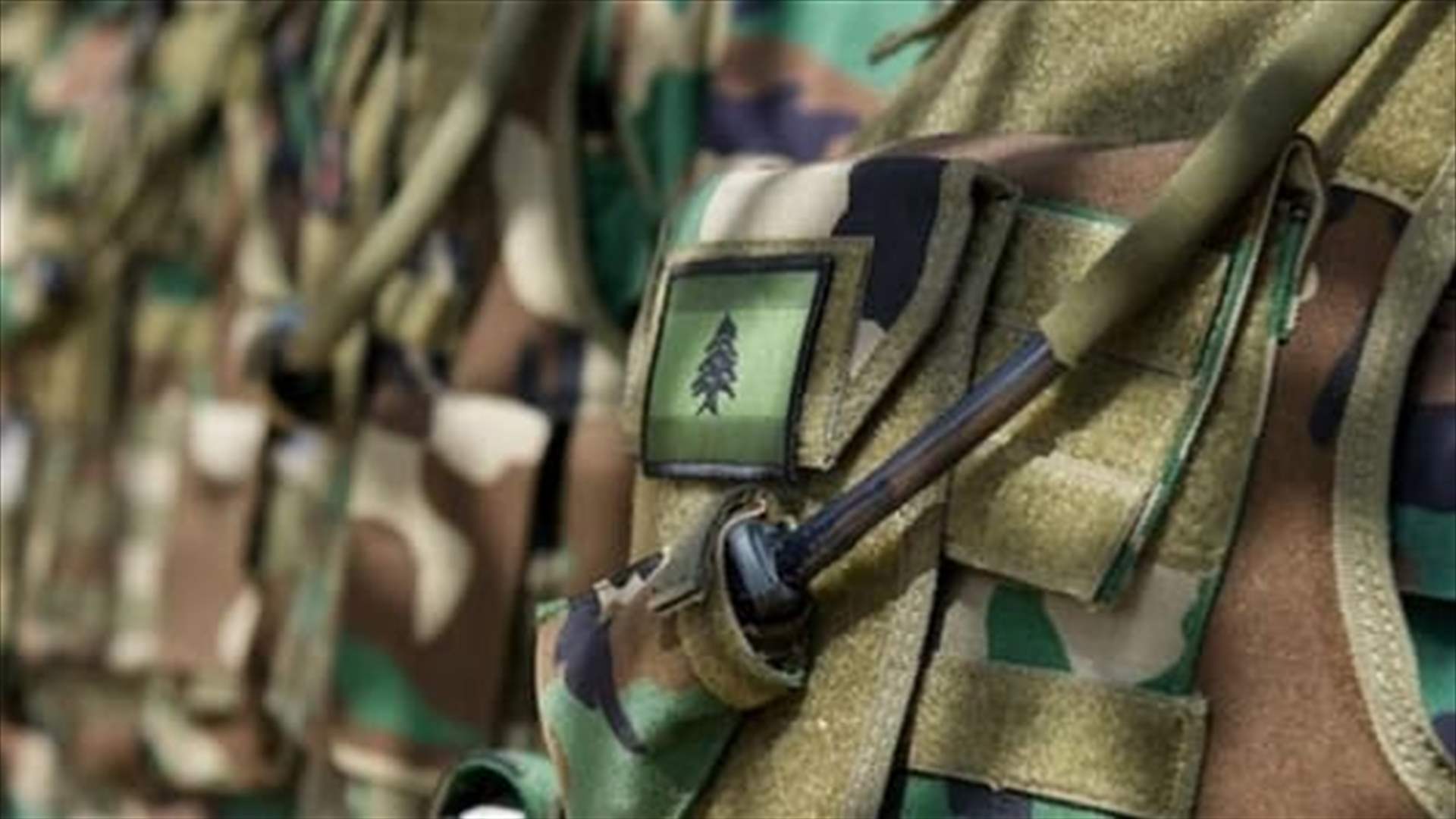 الجيش: تمارين تدريبية في حقل رماية الطيبة