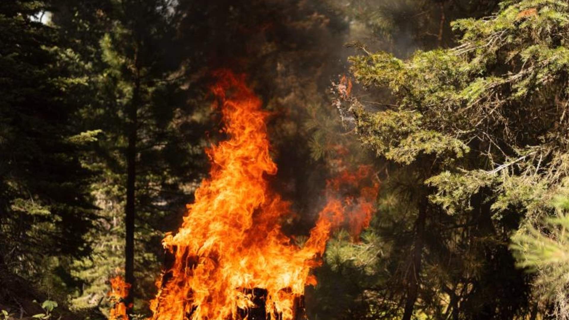 الحرائق تتزايد في الغرب الأميركي وسط موجة حرّ