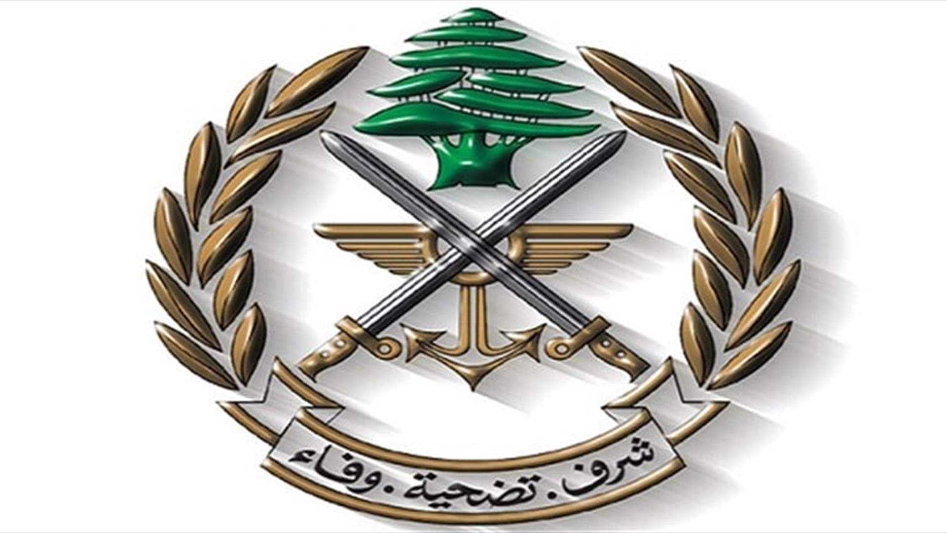 الجيش: توقيف 31 مواطنًا ضمن إطار التدابير الأمنية