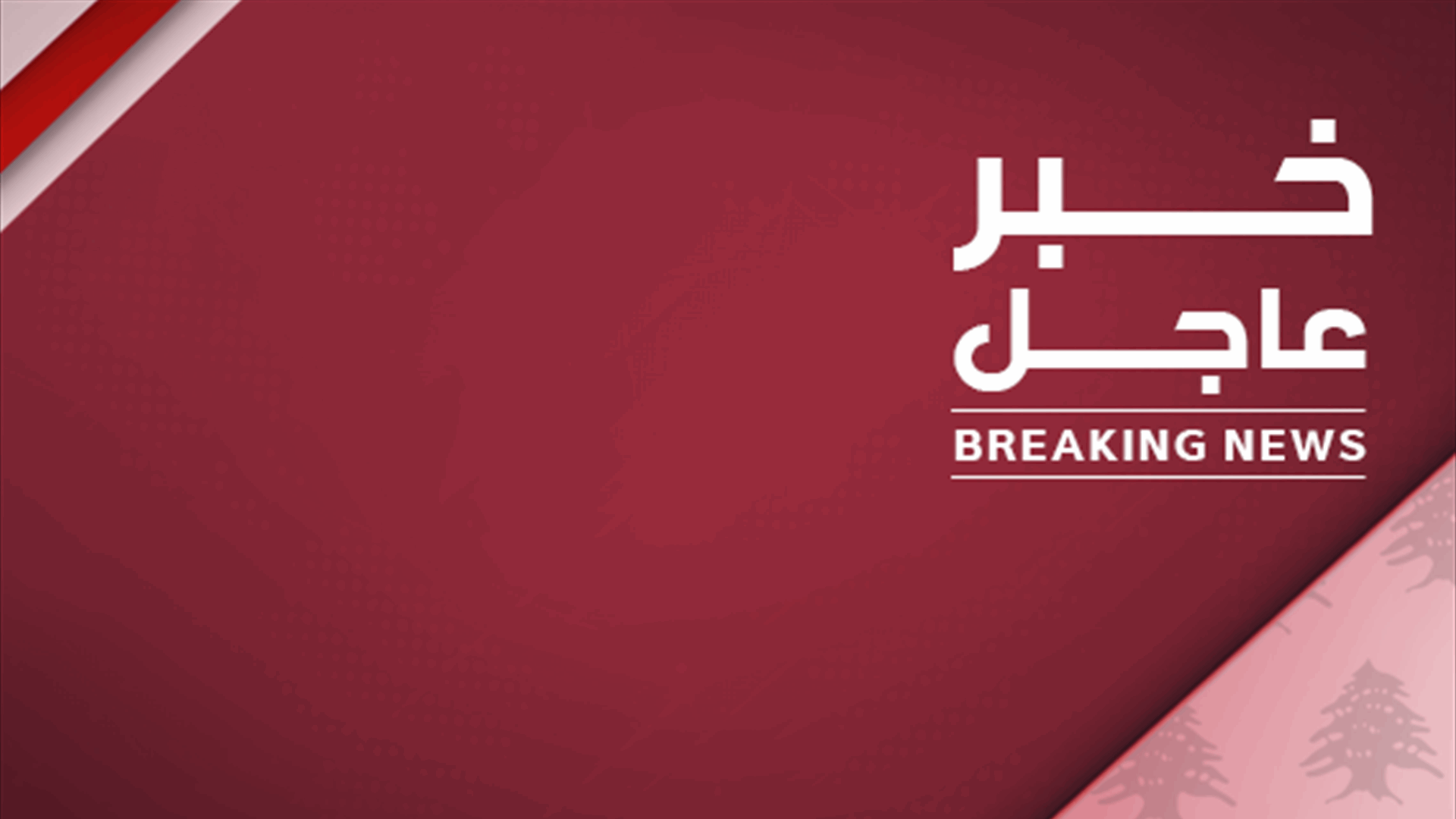 مصدران أمنيان لرويترز: نجاة القائد الكبير في حزب الله الذي استهدفته ضربة إسرائيلية على ضاحية بيروت الجنوبية