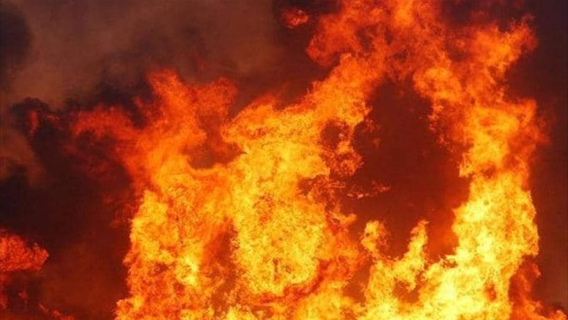 اندلاع حريق في غابات بلدة عين يعقوب العكارية