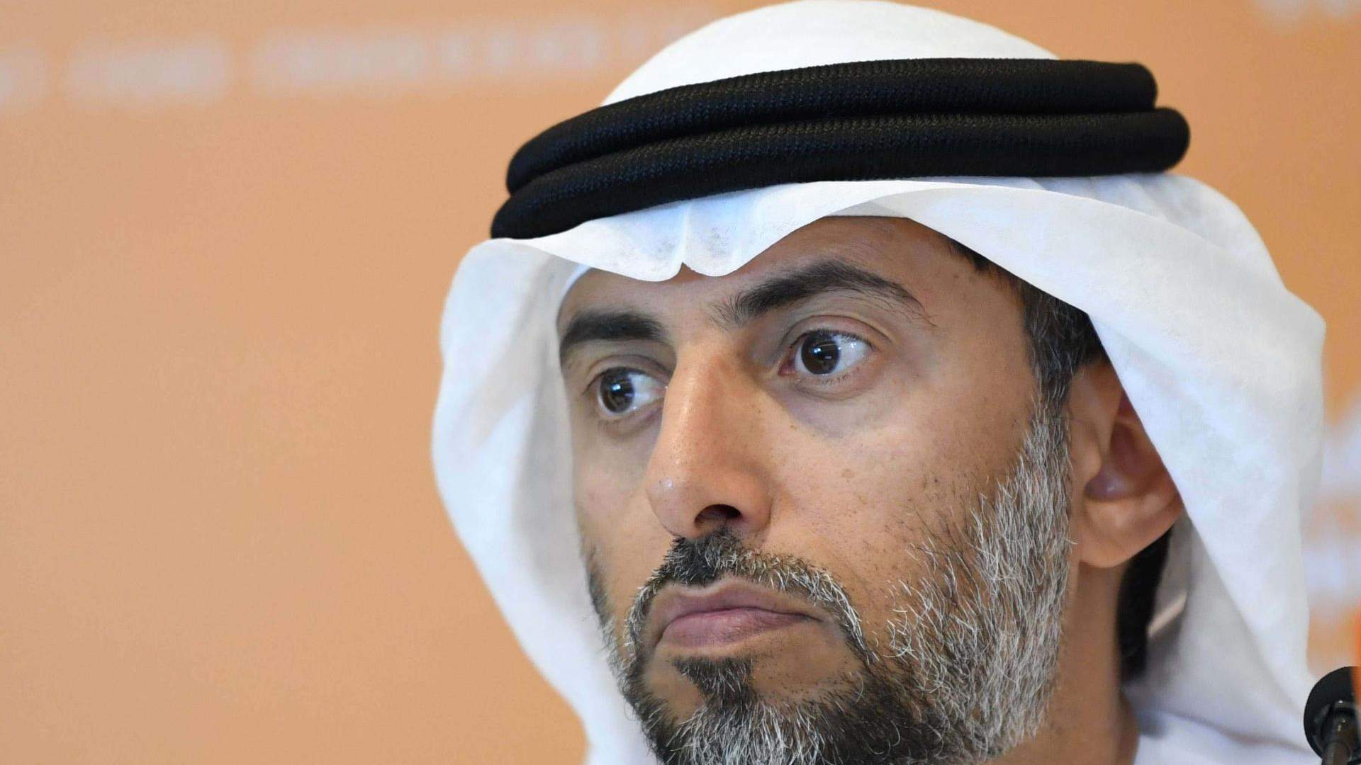 UAE: OPEC+ doing &#39;noble&#39; job of balancing oil market