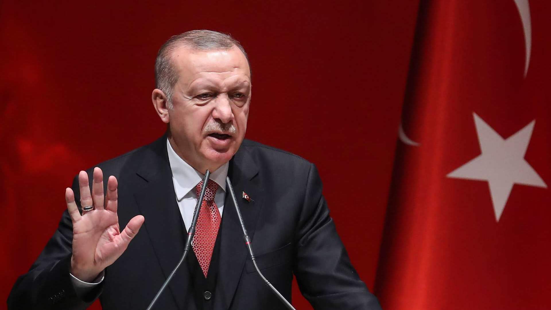 إردوغان يدعو إلى حظر أممي على تصدير الأسلحة لإسرائيل