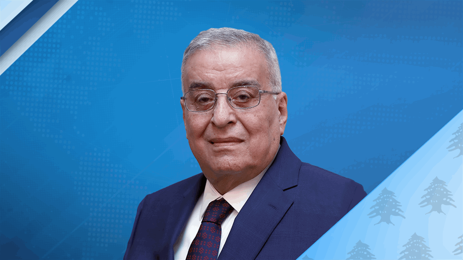 Bou Habib: Lebanon is determined to strengthen the deployment of its armed forces in South Lebanon