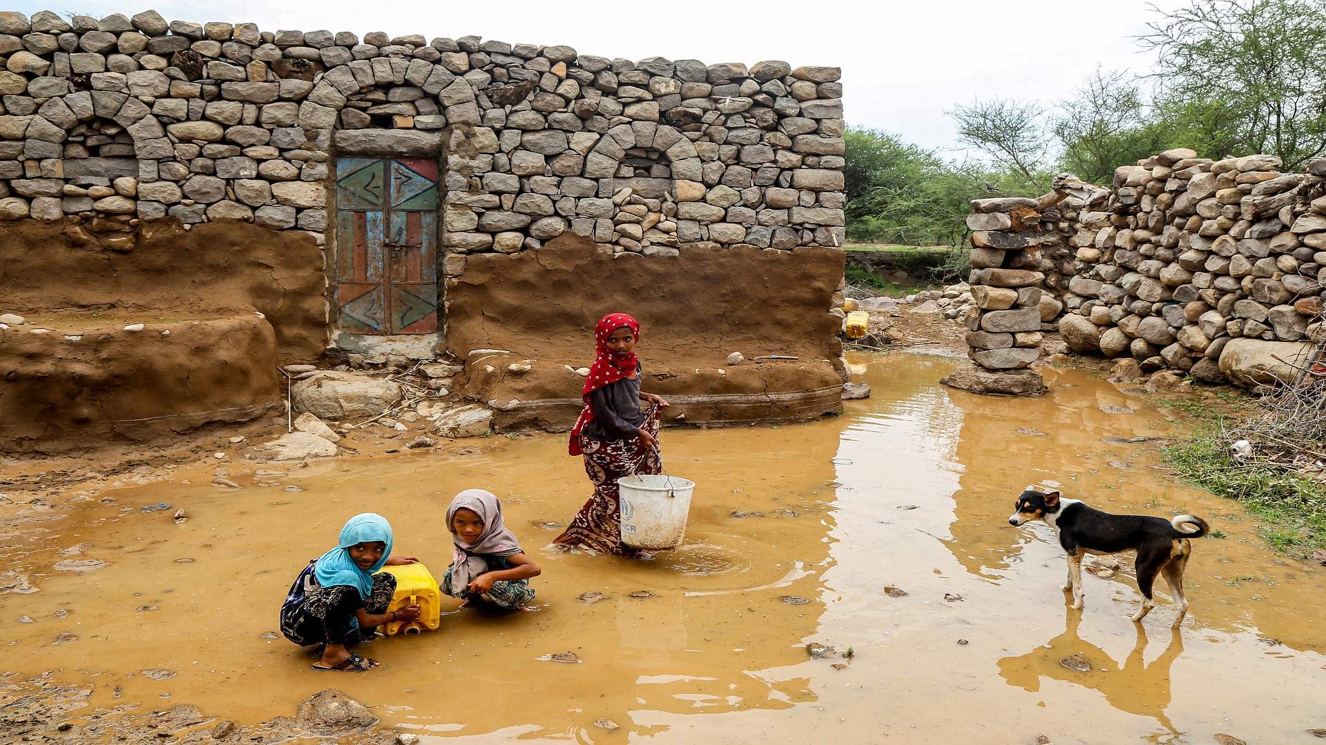 الأمم المتحدة: 9.8 مليون طفل يمني بحاجة لمساعدات عاجلة