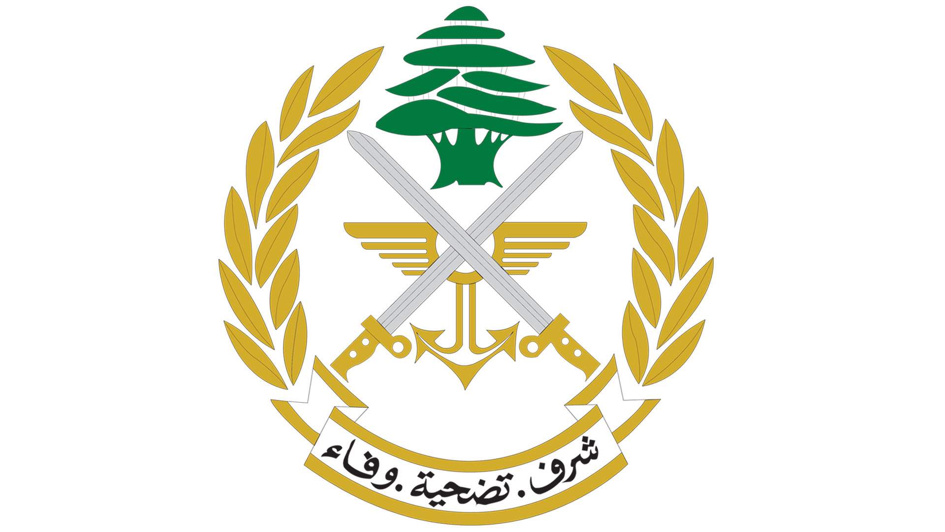 Lebanese army to detonate unexploded ordnance across multiple locations 