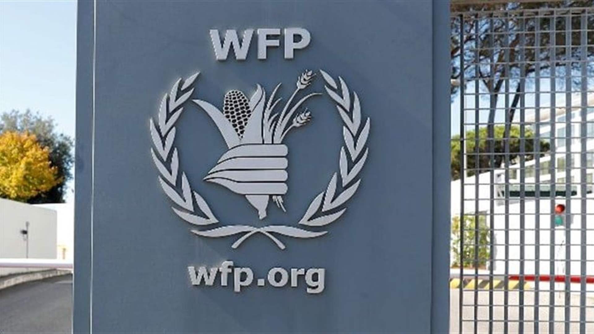 WFP says $250mn needed in next six months for Syria food assistance