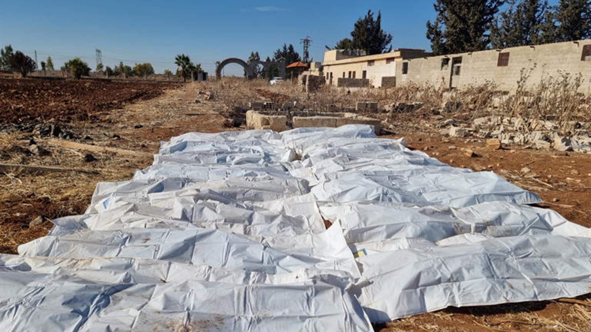 At least 100,000 bodies in Syrian mass grave, US advocacy group head reports 