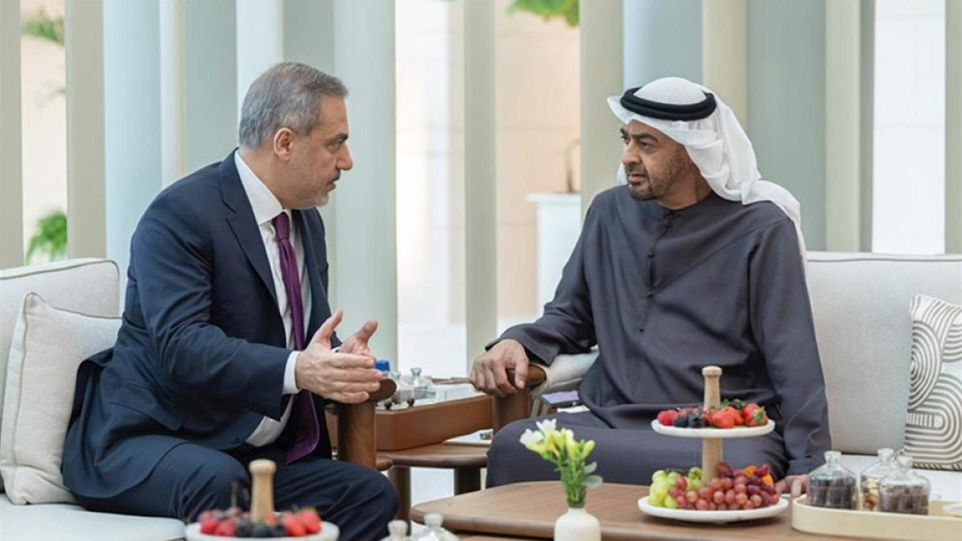 UAE President and Turkish FM discuss evolving dynamics in Syria and the region