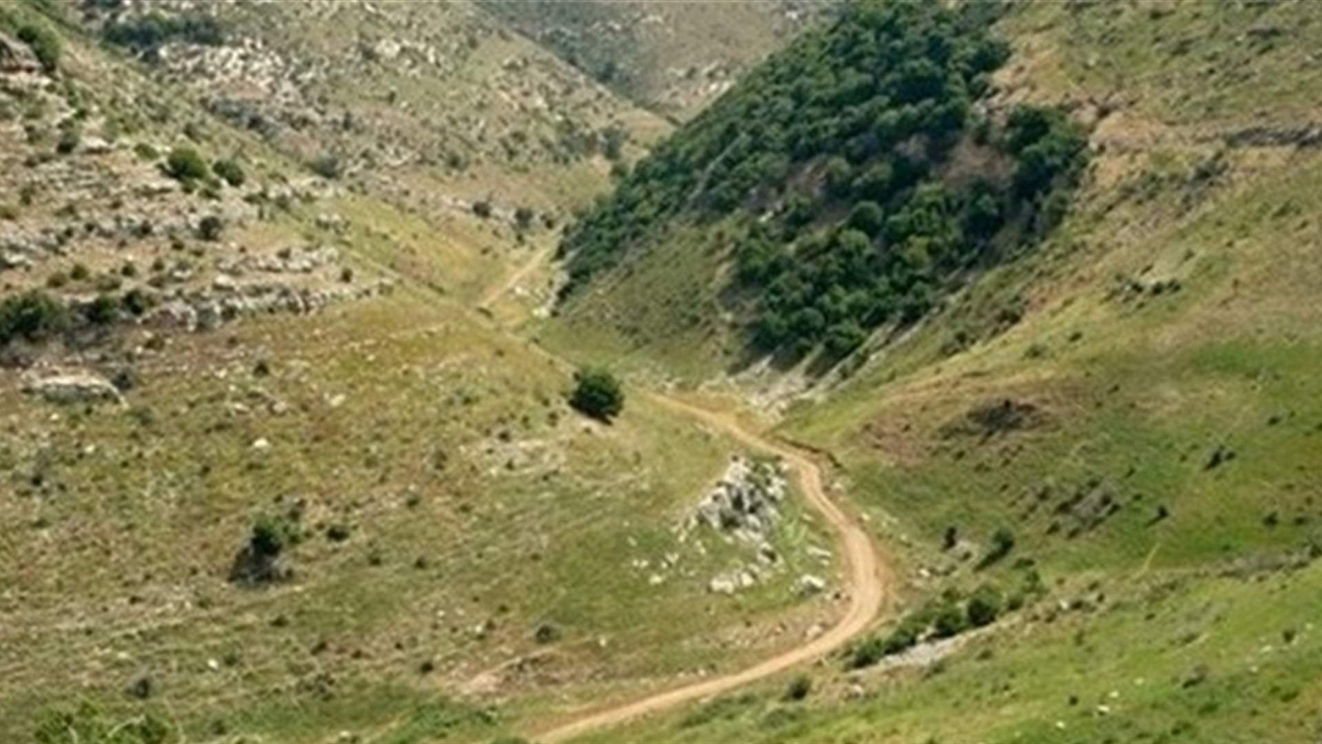 Israeli army abducts Lebanese citizen in South Lebanon