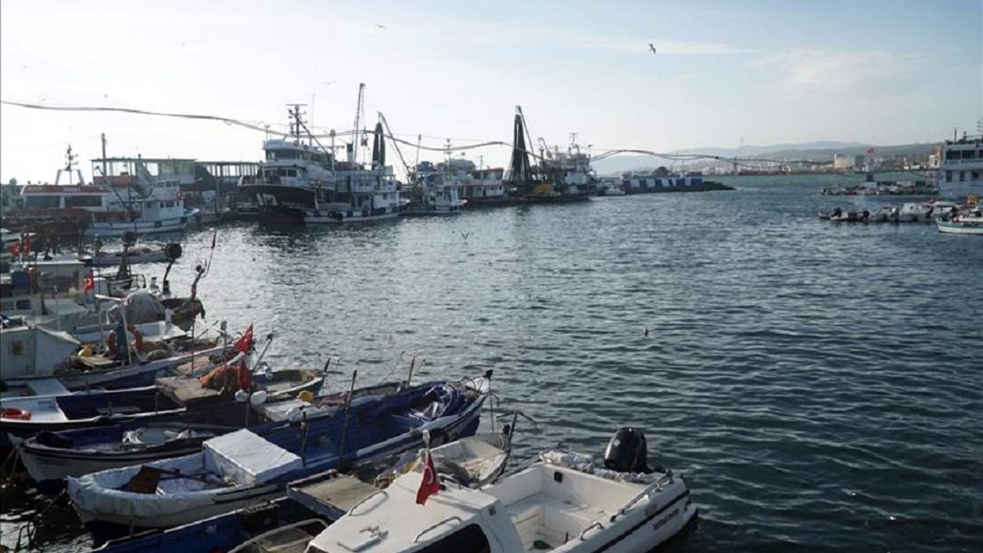 Israeli soldiers vandalize and loot South Lebanon&#39;s Naqoura fishermen&#39;s port  