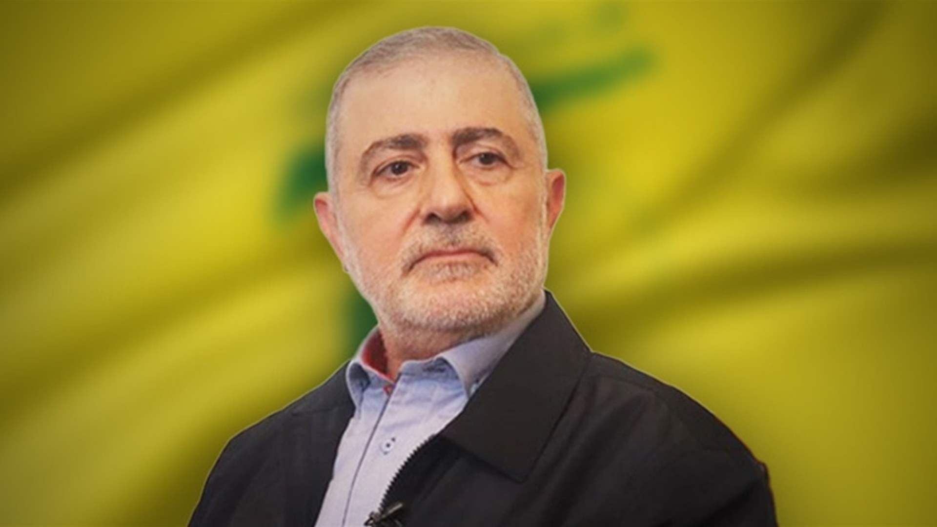 Hezbollah&#39;s Wafiq Safa confirms &#39;no veto on army commander&#39; 