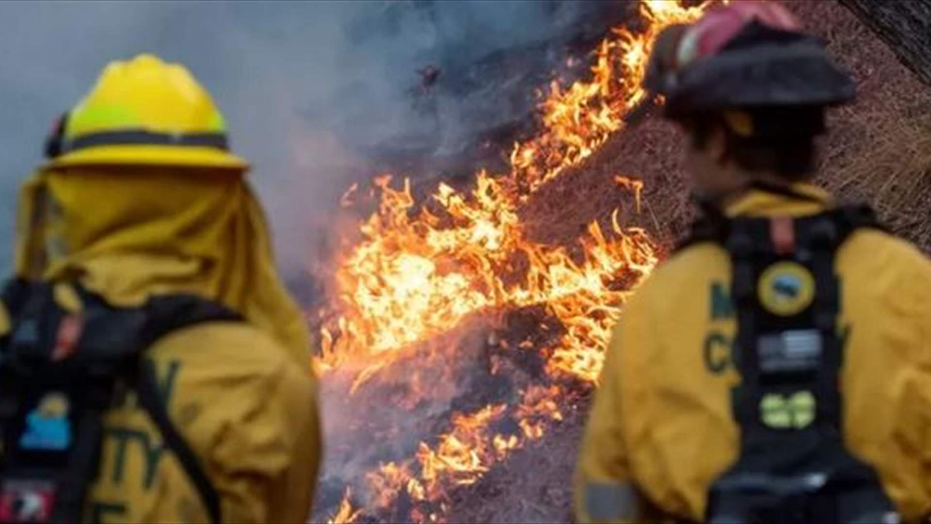 الحيوانات لم تسلم من حرائق لوس انجلوس... والوضع يزداد صعوبة