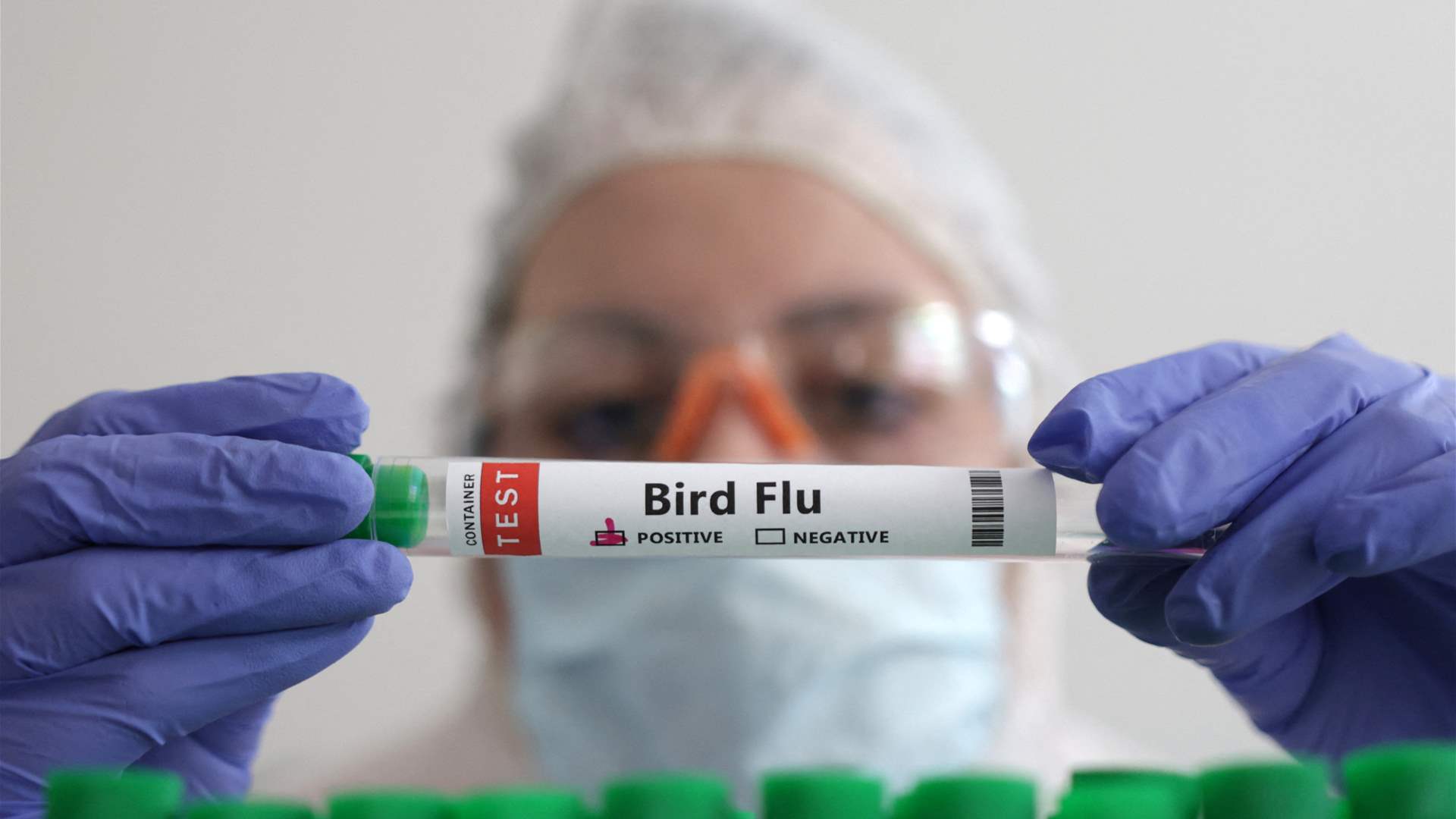 UK confirms &#39;rare&#39; human case of bird flu