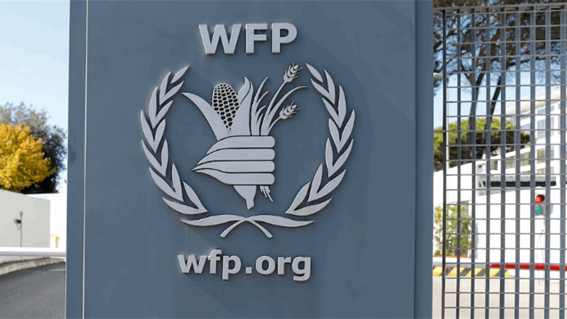 WFP says staff member died in detention in northern Yemen