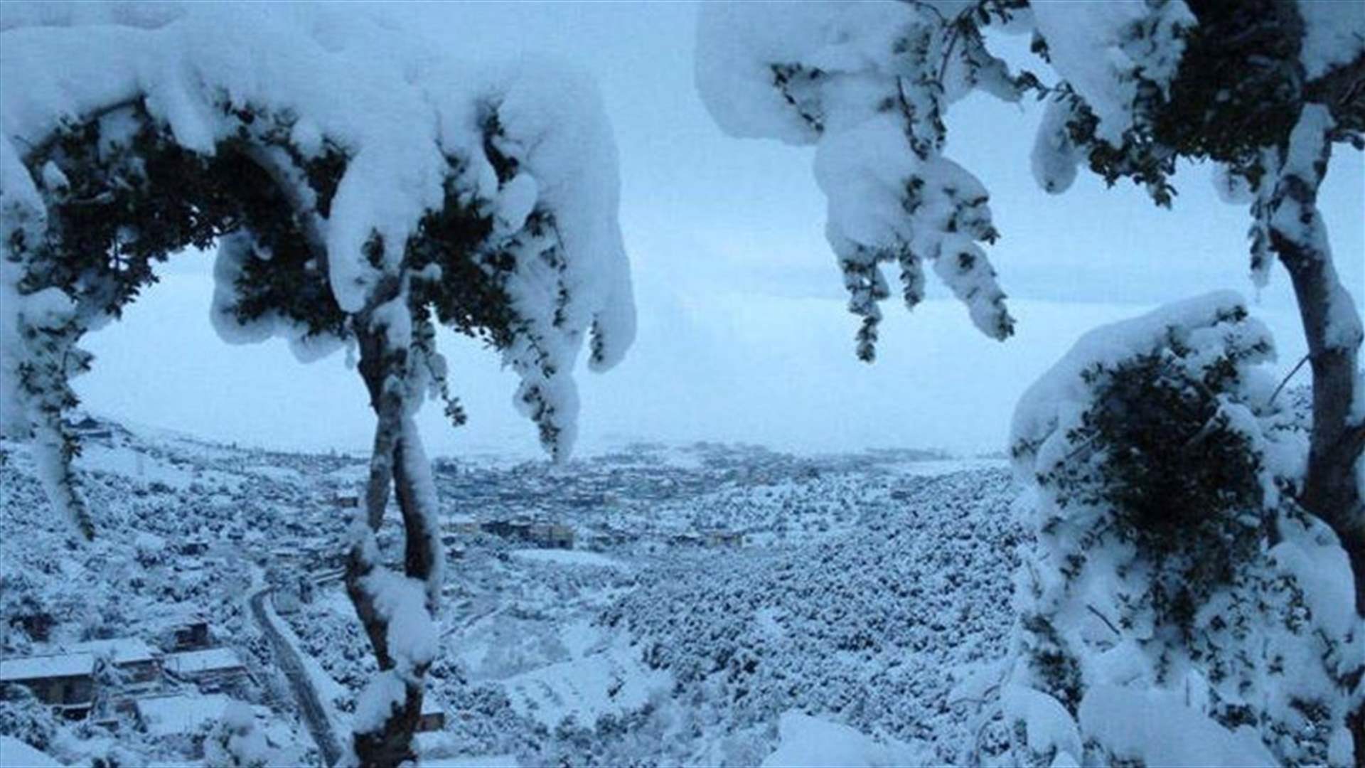 المنخفض الجوي يتحول الى قطبي بدءاً من السبت... 