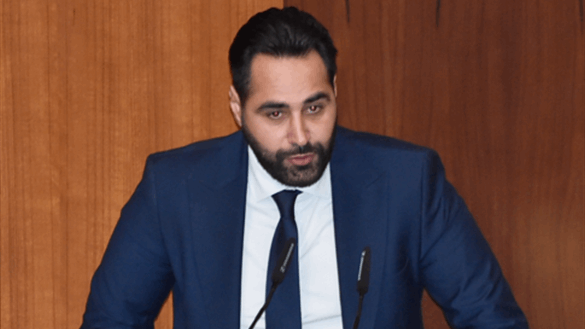 MP Firas Hamdan grants confidence to government, Berri responds to question on ceasefire agreement