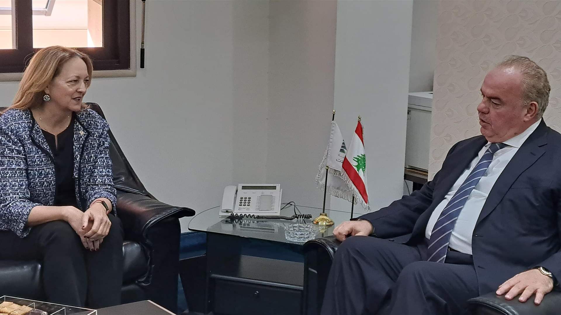 Lebanon&#39;s telecommunications minister highlights ongoing Israeli violations in meeting with US ambassador