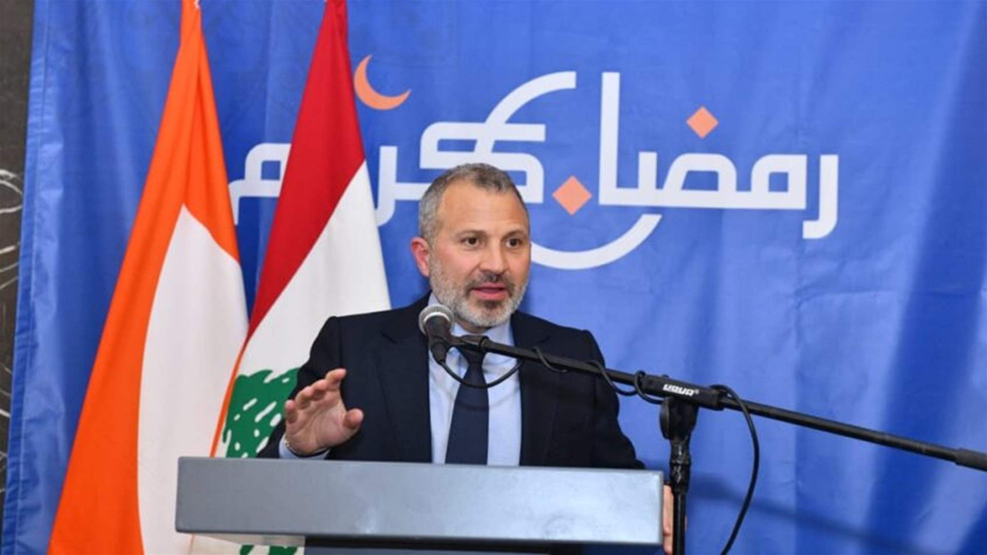 MP Gebran Bassil says Free Patriotic Movement will not be &#39;eliminated,&#39; announces election plans