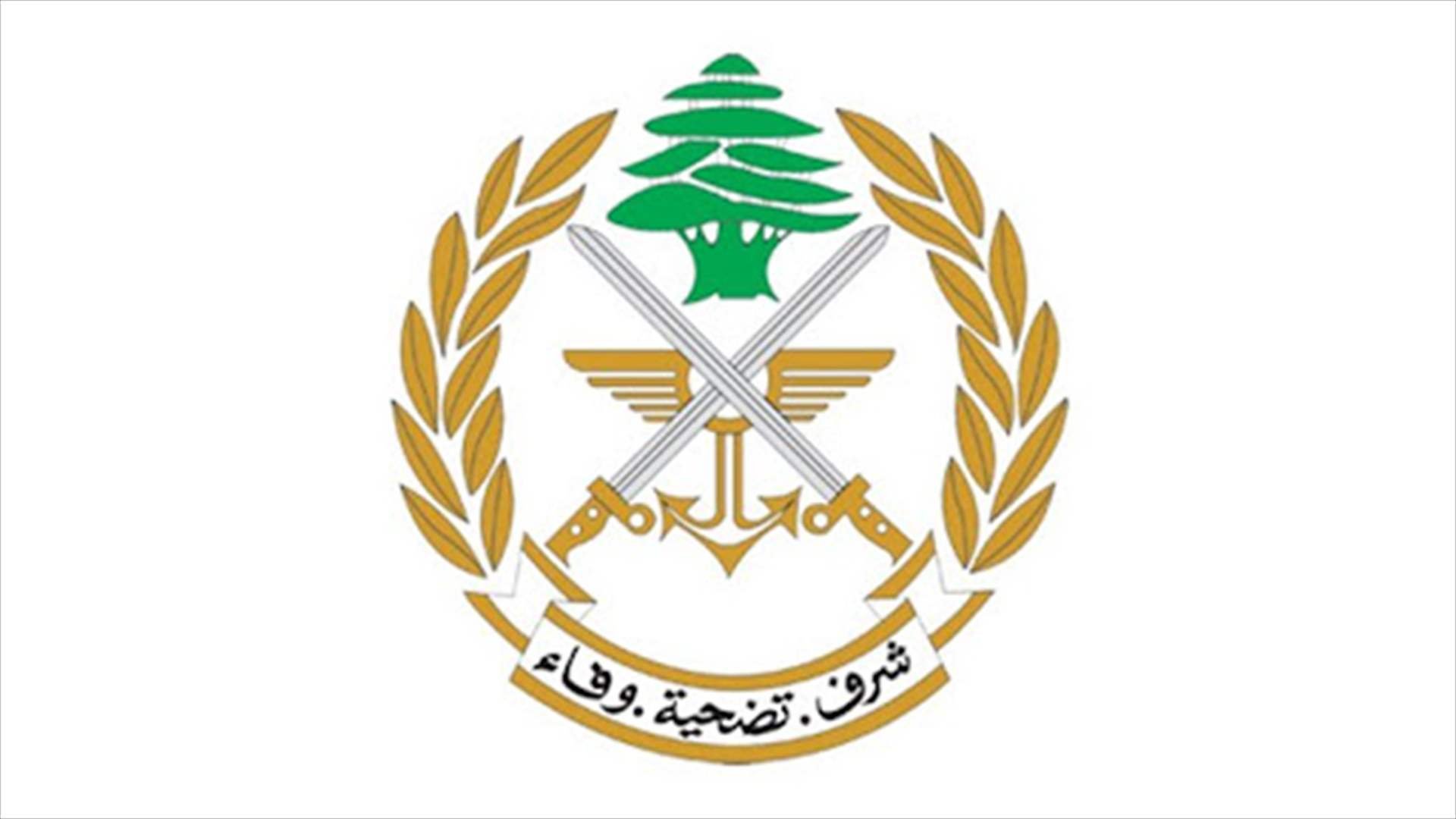 Lebanese army frees two Syrians kidnapped by gang in Baalbek area