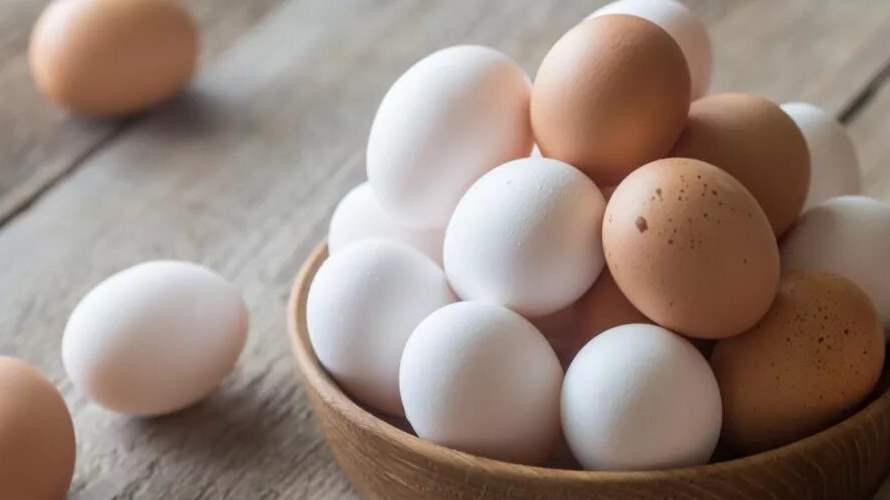 البيض... تعرفوا على فوائده المذهلة للجسم والصحة!