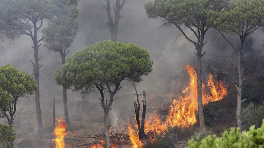 وزارة البيئة: ارتفاع خطر الحرائق في الايام المقبلة