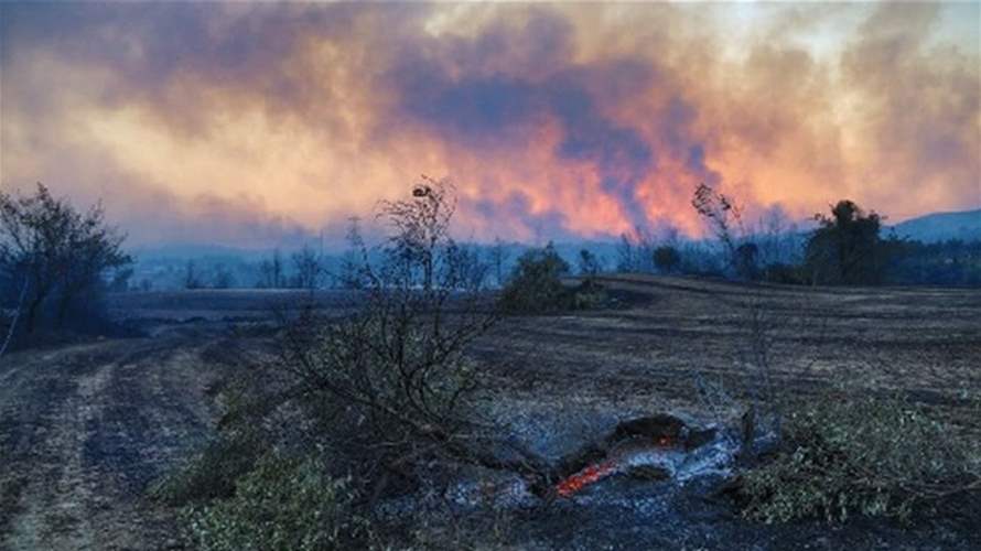خمسة قتلى وعشرات الجرحى بحرائق غابات في جنوب شرق تركيا 