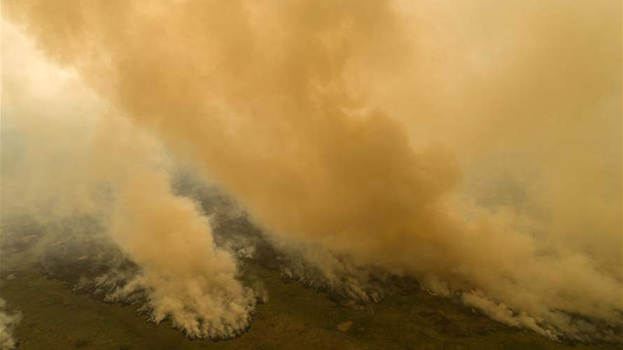 حرائق مستعرة في كبرى مناطق العالم الرطبة في البرازيل