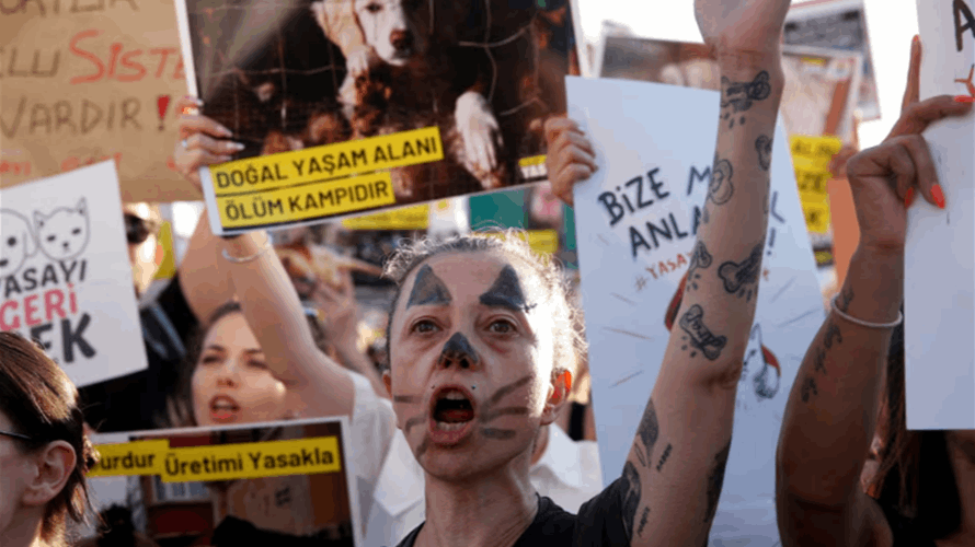 Turkey passes law to round up stray dogs, opposition vows appeal