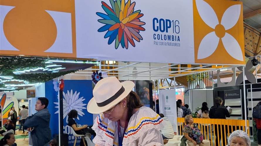 Colombia rebels say will halt offensive actions for COP16 summit